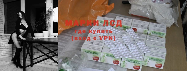 прущие грибы Майский